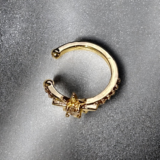 Arete trepador Estrella