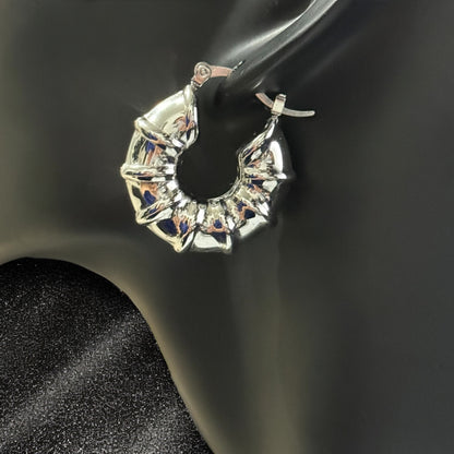 Arete arracada Aracely plateado