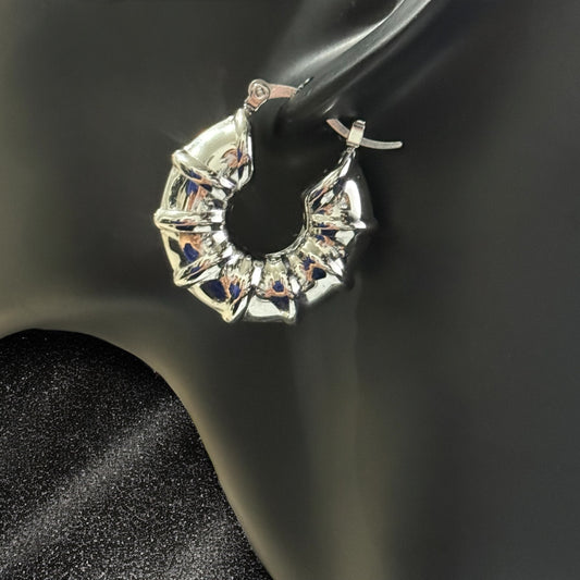 Arete arracada Aracely plateado